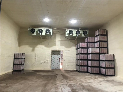 冰雄苹果冷库安装案例 冰雄苹果冷库安装案例